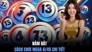 Cách chơi xổ số Mega cơ bản